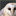 kniprath-barn-owl.de