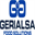 gerialsa.com