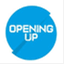 openingupcricket.com