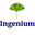 ingenium-advies.nl