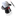 magicshred.com