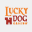 myluckydogcasino.com