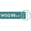 wsg98.de