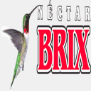 nectarbrix.com.br