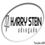 harrystein.adv.br