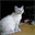 mizuaruki.net