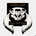 dariocoelho.com