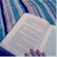 markitread.wordpress.com