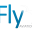 flybirdaviation.com