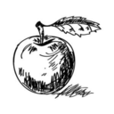 shabbyapple.tumblr.com