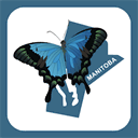 lyonpermis.com