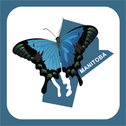 lyonpermis.com