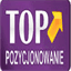 top-pozycjonowanie.pl