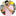 shashinki.com