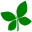 ecoliderpalma.com