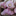 mngarlic.com