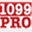 1099softwarepro.info