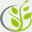 consapling.com