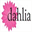 dahlia.ie