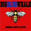 bigbluewhale.bandcamp.com