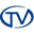 transvision.co.jp