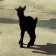 mollybglutenfree.com