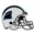 pantherscards.com