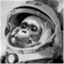 spacemonkeyart.wordpress.com