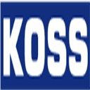 koss-ingenieure.de