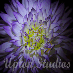 upton-studios.com