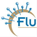 fluconsult.com