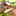 handability.org