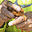 handability.org