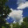 onehundredweeks.wordpress.com