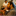 ankitsawant.com