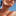 plasticsurgeon.blogspot.com