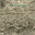 longbranchmusic.bandcamp.com