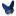 sflymphedema.org