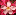 oleandershop.de