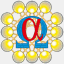 newoptions.net