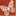 guidedpath.com.au