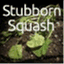 stubbornsquash.com