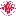 brisbanecsichurch.org.au