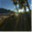 digitalbackwoods.wordpress.com