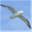 lothianhypnotherapynetwork.org.uk