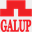 galup.com.vn