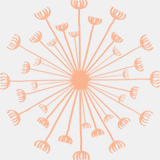 evolabuilders.com