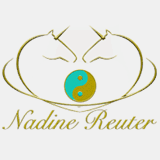 nancyhamiltonconsulting.com