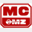 msc-mz.de