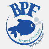 banpongfishfarm.com